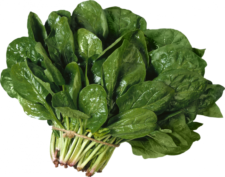 8 лучших продуктов для красоты 8 лучших продуктов для красоты