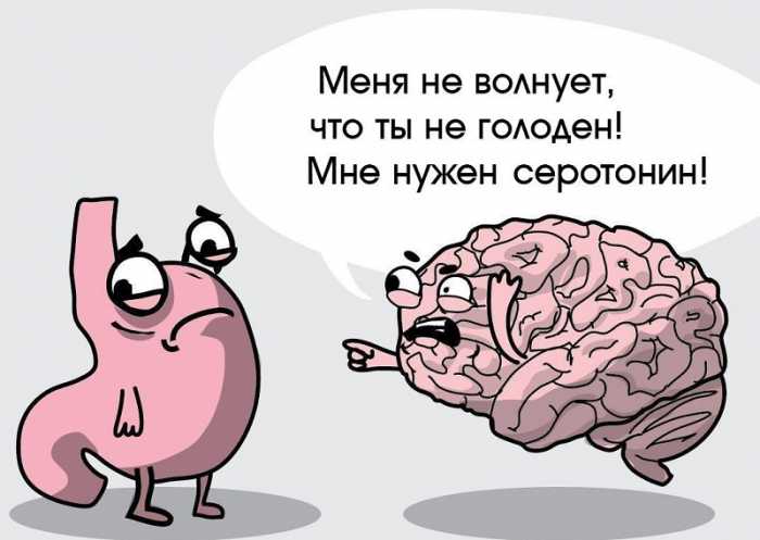 Зверобой — волшебная трава: гормонов счастья много не бывает. Не спеши в аптеку за антидепрессантами, наши бабушки лечили хандру зверобоем.