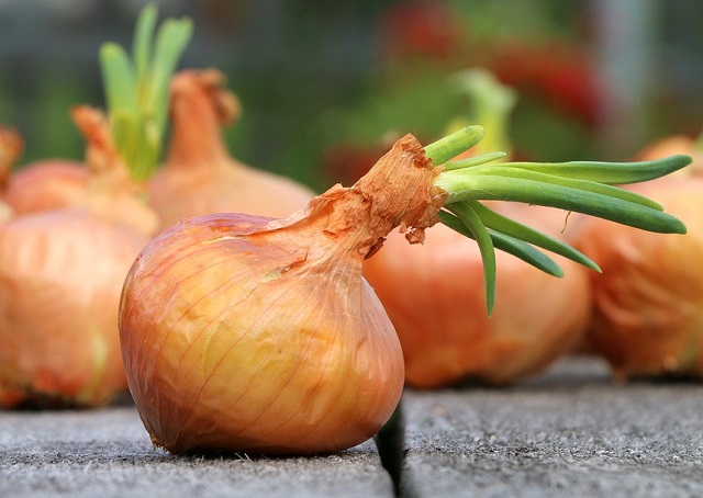 7 ПРОДУКТОВ, КОТОРЫЕ ОЧИЩАЮТ ОРГАНИЗМ ЛУЧШЕ ЛЮБЫХ ЛЕКАРСТВ