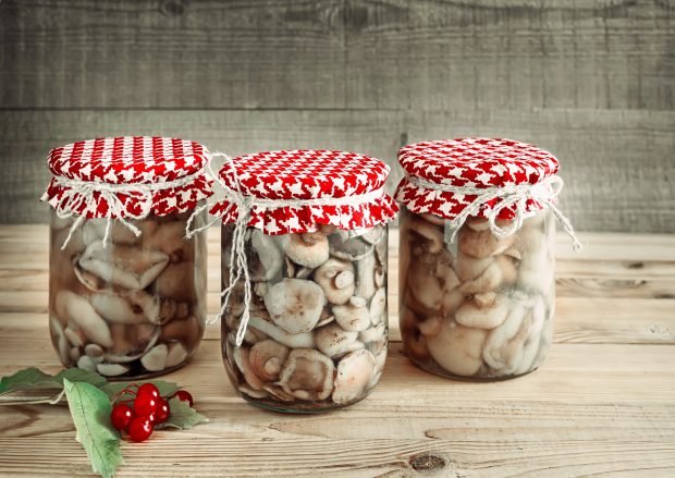 Маринованные грибы синеножки