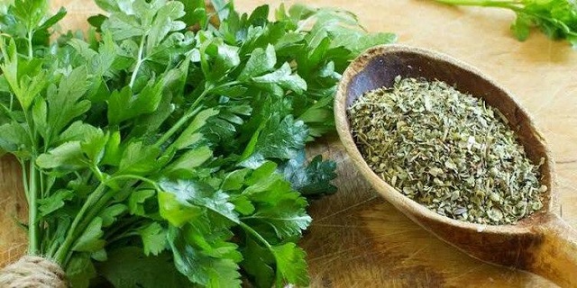 Лечебные свойства петрушки