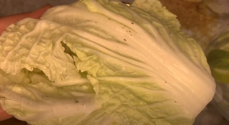 Диетическая шаурма с курицей без майонеза