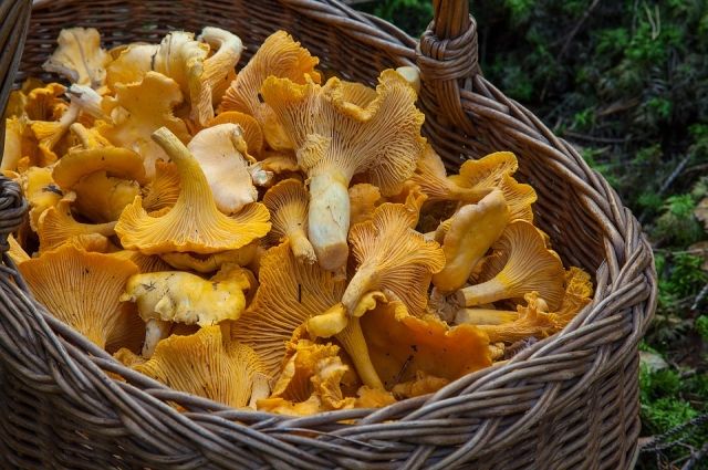 6 продуктов, богатых витамином D, которые стоит почаще есть осенью и зимой