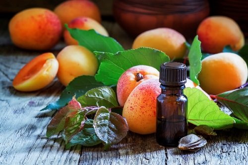 Абрикосовое масло для лечения насморка: как использовать?