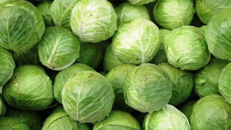 ТОП-5 полезных продуктов, которые должны быть на полке Вашего холодильника